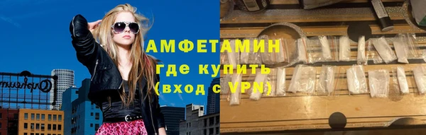 прущие грибы Аркадак