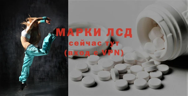 прущие грибы Аркадак