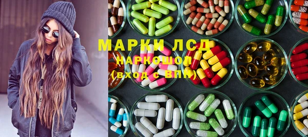 прущие грибы Аркадак