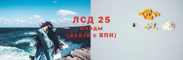прущие грибы Аркадак