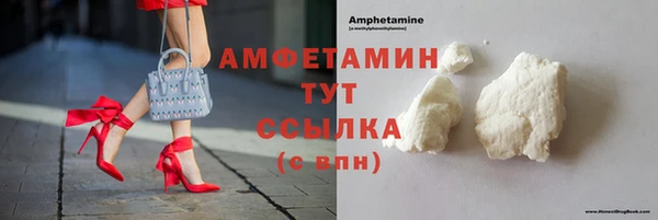 прущие грибы Аркадак