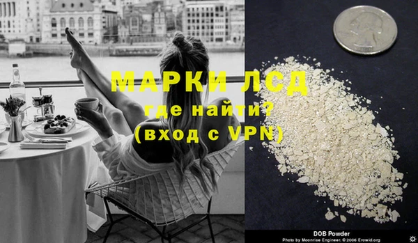 прущие грибы Аркадак